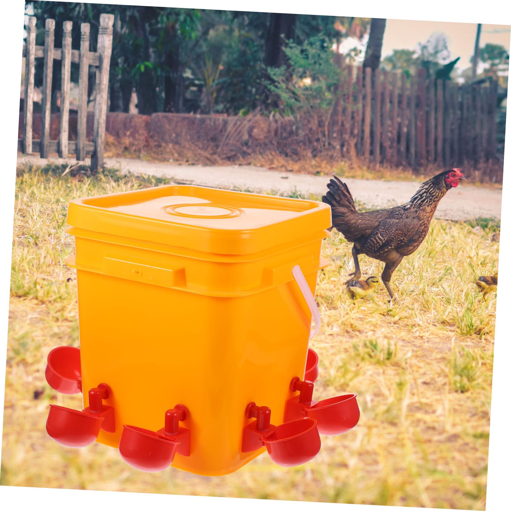 Bebedero Automático para Pollos 1 Juego de Plástico Naranja | Vasos para Beber, Fácil de Llenar, para Gallinas y Codornices en Uso Doméstico