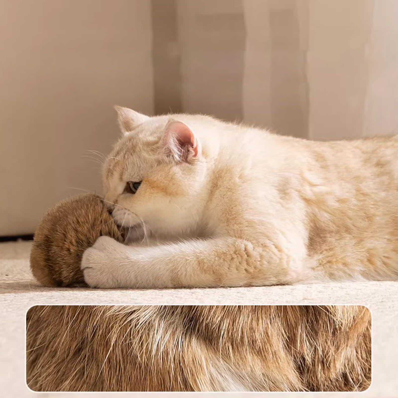 Juguete Interactivo Bola para Gatos Accesorios De Juego para Gatitos | Juguete Hierba Gatera Para Gatos Interior Para Dueños De Mascotas Amantes De Los Animales Hogar Oficina Dormitorio Salón