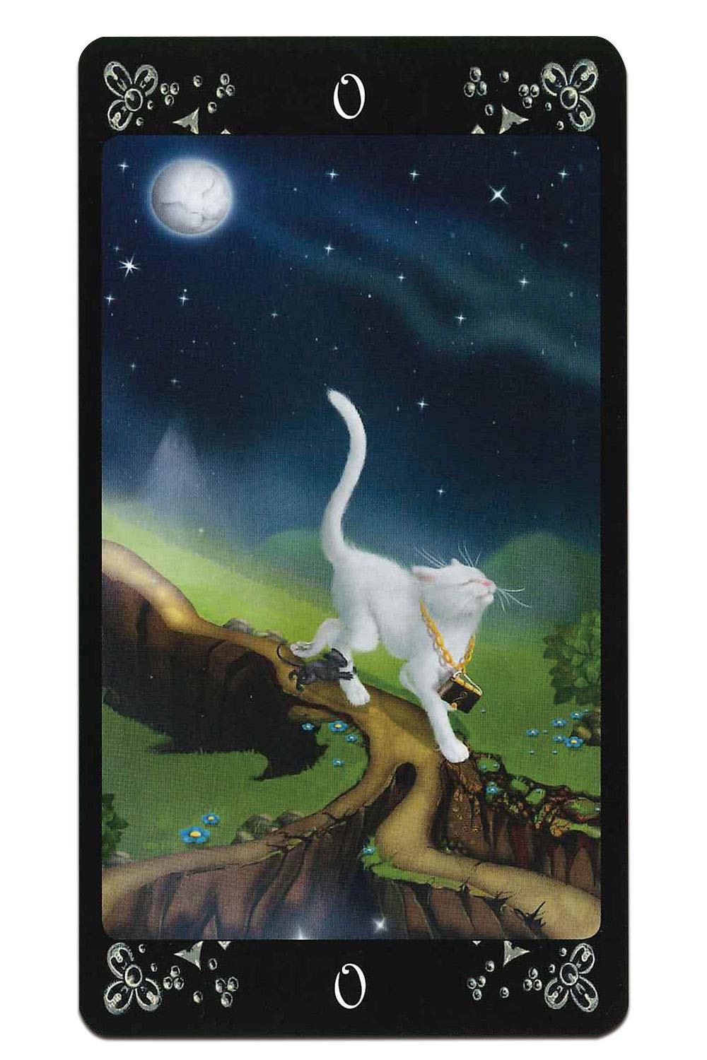 Rin★CATタロット キャッツ・アイ・タロット Cat's Eye Tarot – クロノスゲート