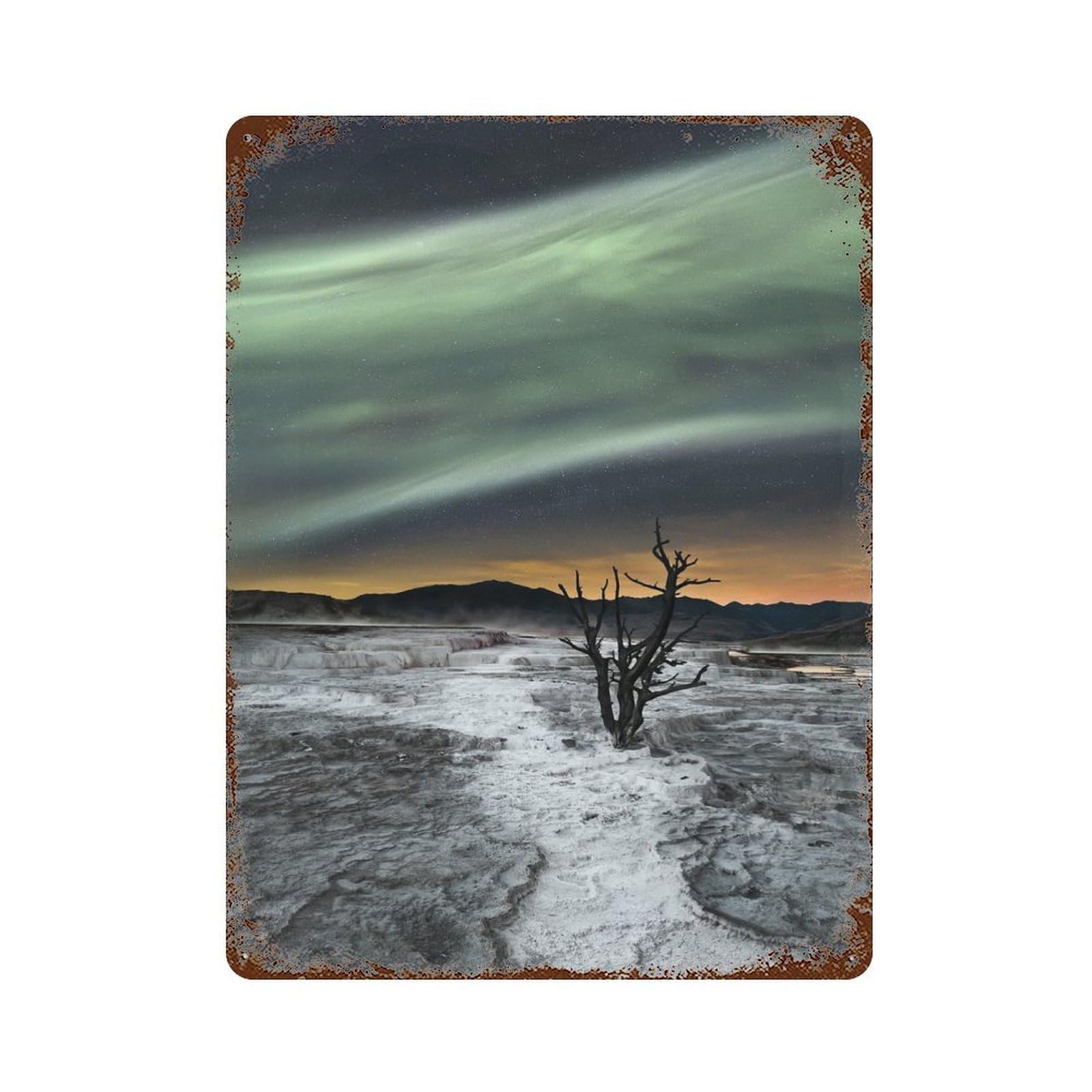 Magic Aurora 15.7"x11.8" Rusty Metal Tin Sign, Shabby Chic Decor for Bistro, Counter And Cafe Decor