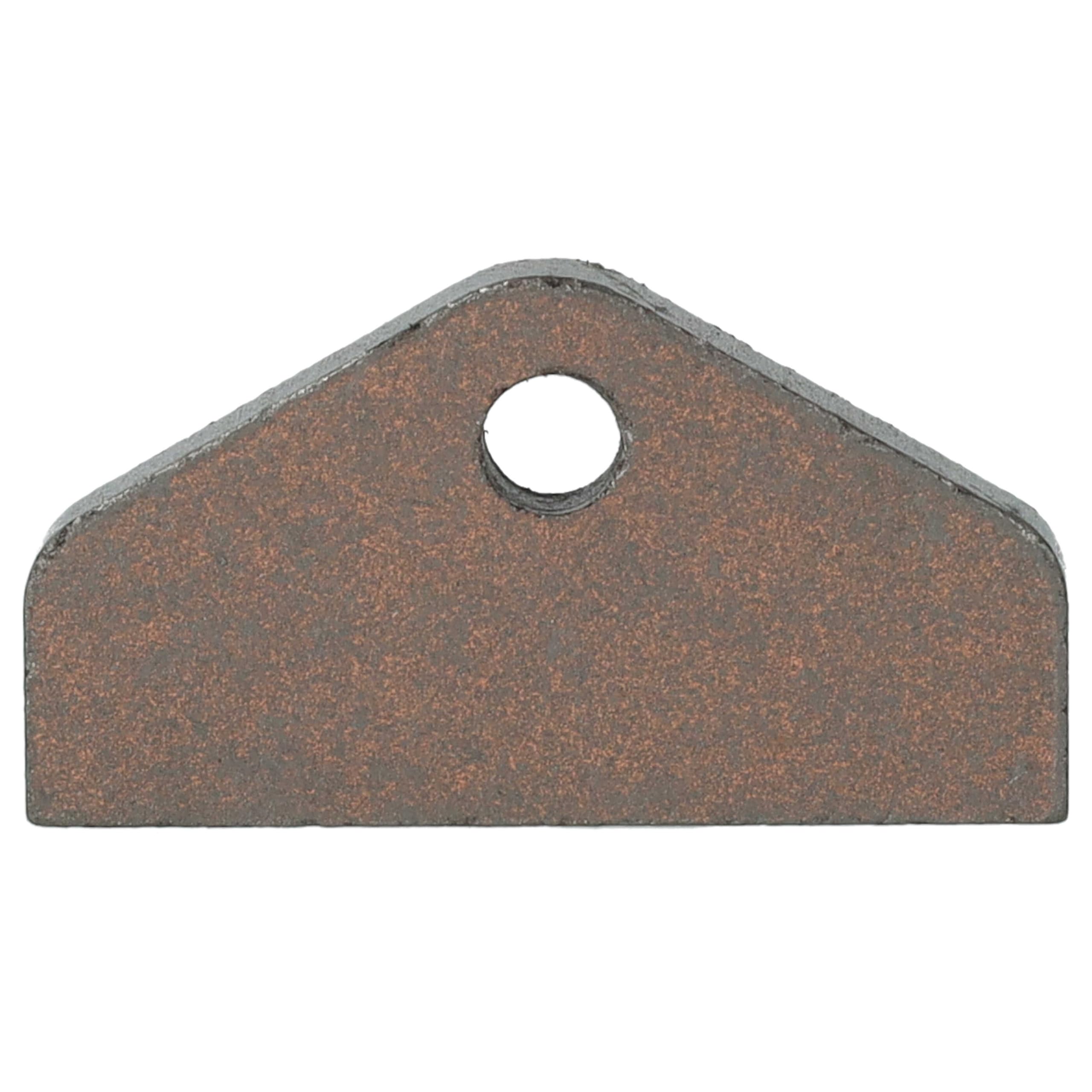 2 Spazzole carbone per Miele T7944C PRIMAVERA PLUS T 7000 C HOMECARE XL T 7000 C