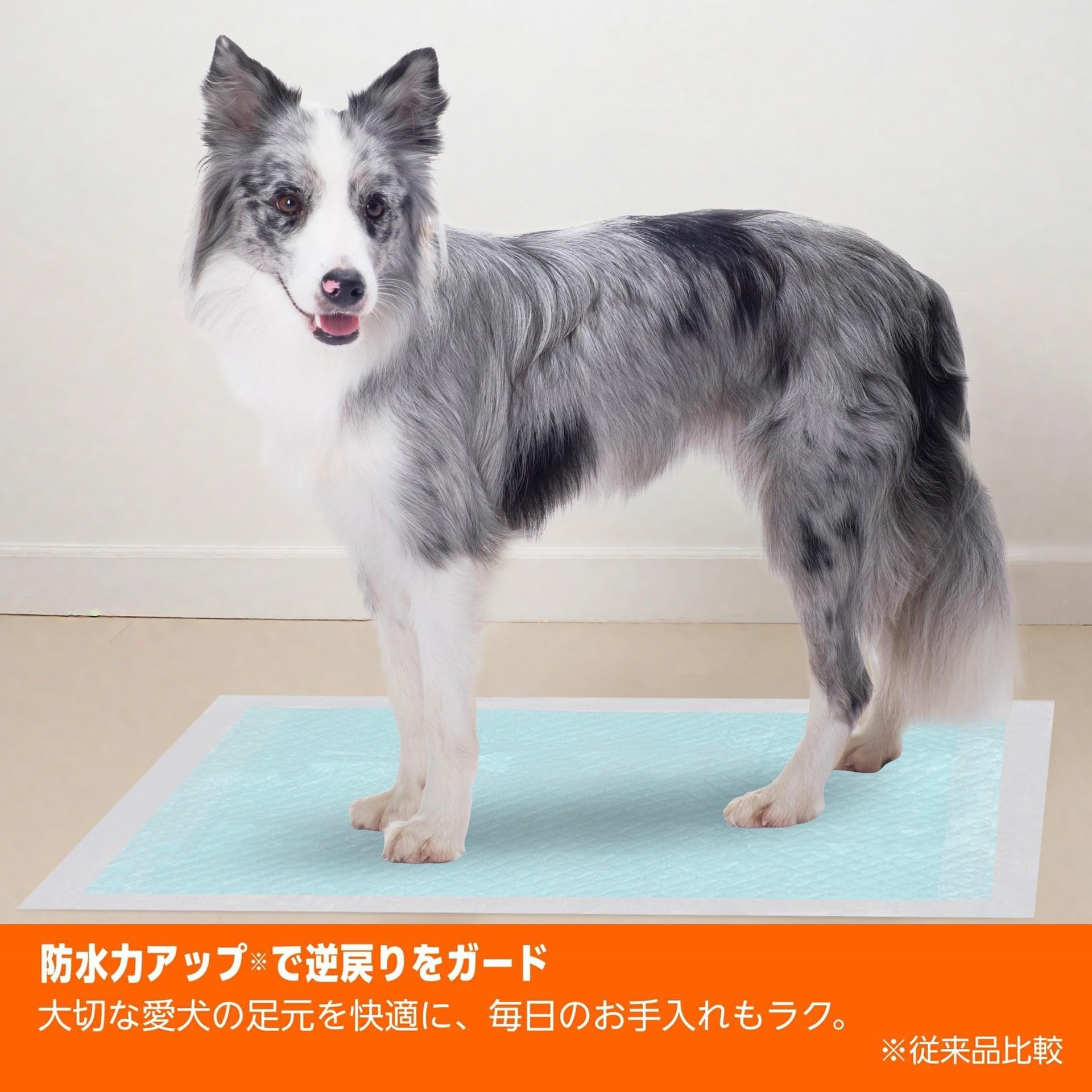 Amazon | Amazonベーシック ペットシーツ 厚型 スーパーワイド 20枚×2