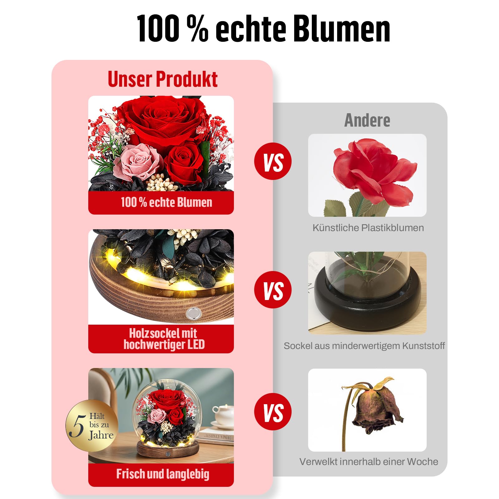 Ewige Rosen im Glas mit LED Licht, Infinity Rose, Konservierte Rosen aus echter Blume, Geschenk für Frauen, Mama oder Freundin, Valentinstag, Jahrestag, Geburtstag, Muttertag, Rote Rose