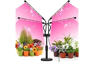 Grow Lights for Indoor Plants