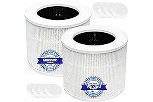 2-Pack Core Mini True HEPA Air Purifier Replacement Filter Compatible with LEOVIT Core Mini