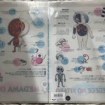 Amazon.co.jp: ゲゲゲの鬼太郎 水木しげる クリアファイル 目玉