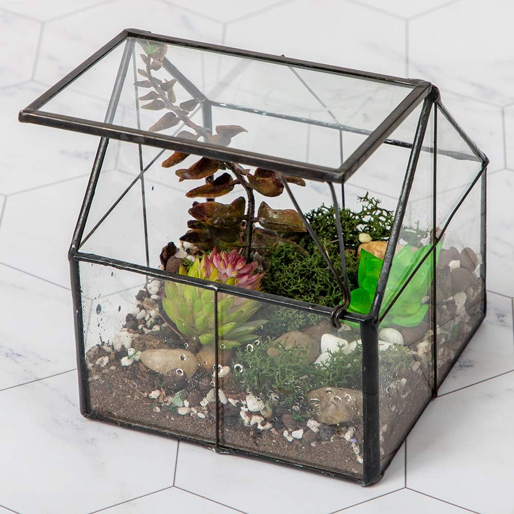 LIMOR 4.3" House-Shaped Succulent Glass Terrarium, Ideal for Gifting