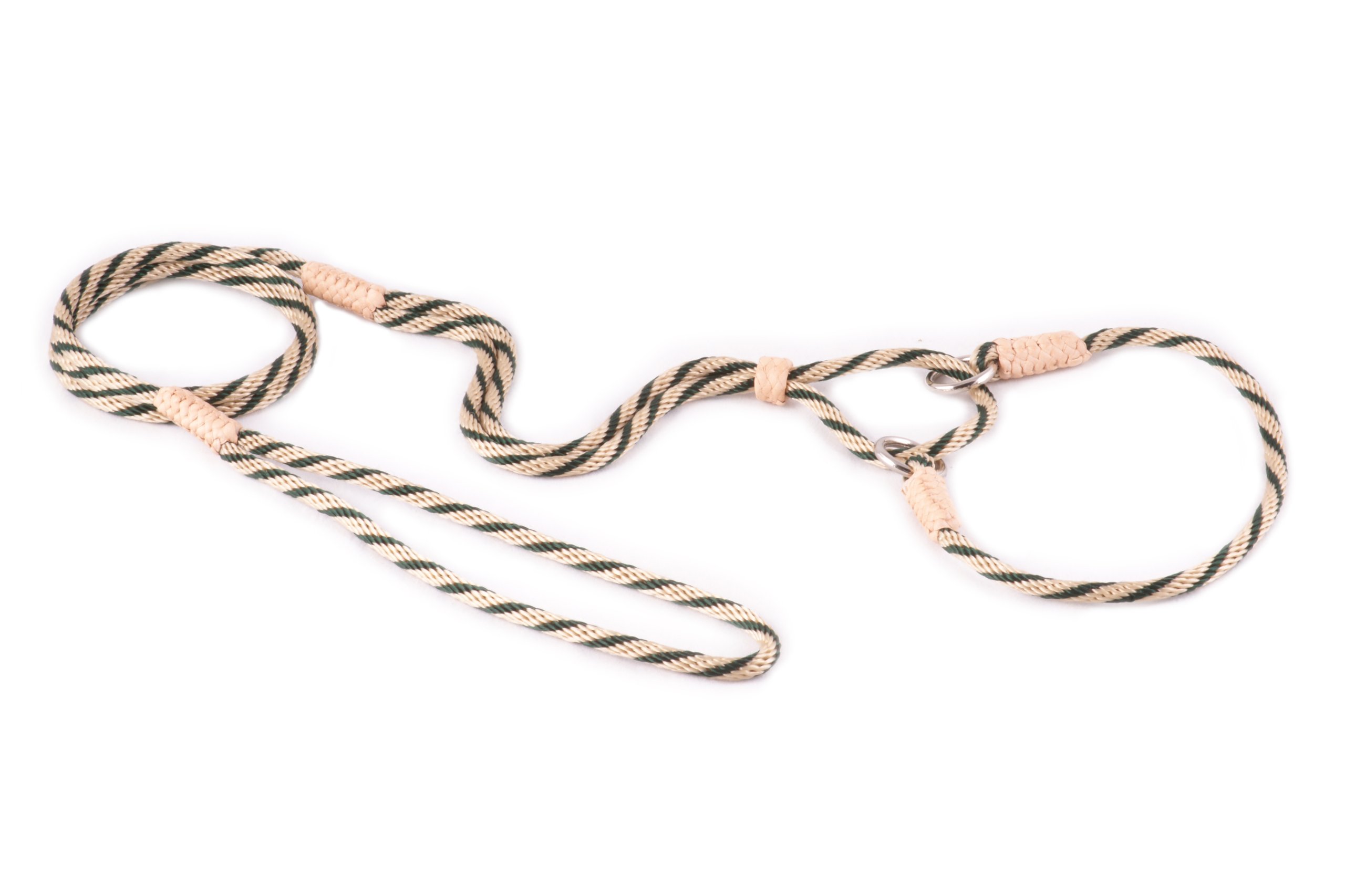 Alvalley Martingale Dog Leash with Collar - Soft, Nylon Leash for Dogs - Comes with Tagua Bead Stopper - Perfect for Small, Medium Dogs - Suitable for Training & Walking