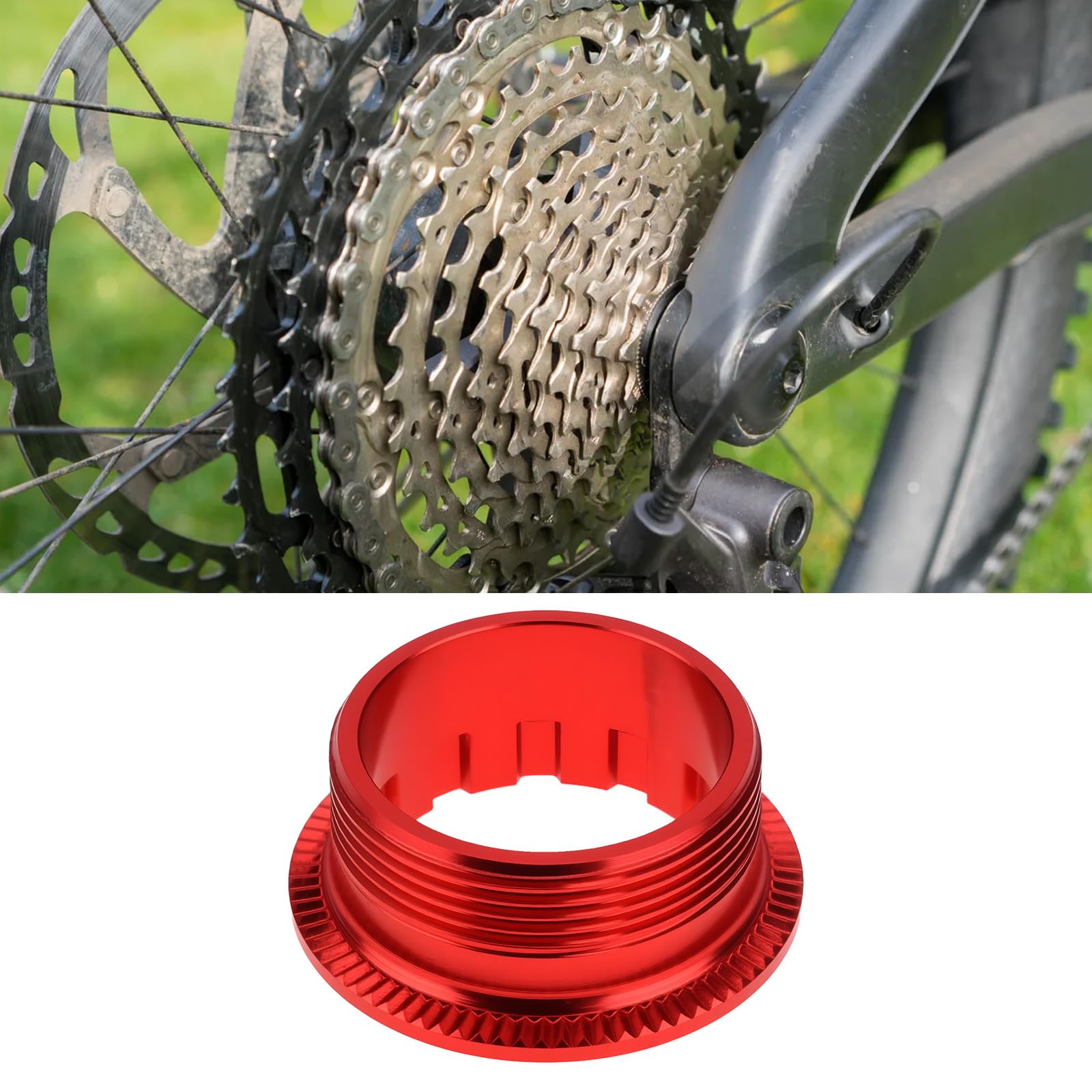 SHIMANO Tandkrans 10 & 12 Voor Cassette 12 speed Micro spline CS M9100/CS M8100/CS M7100/CS