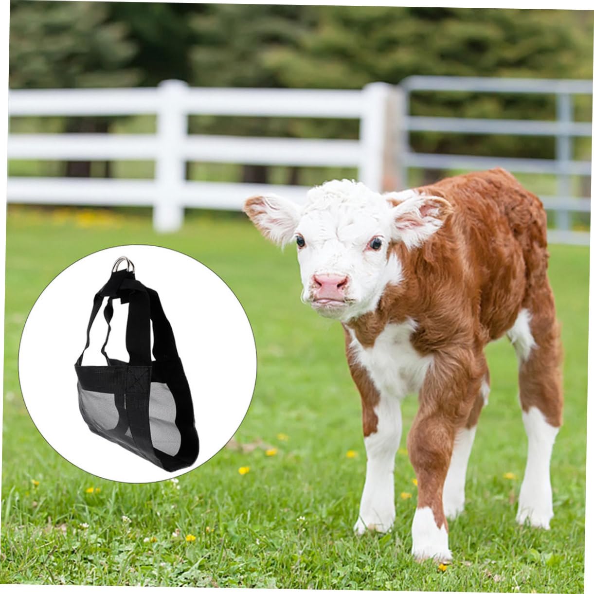 Cabilock Imbracature per Pesare Piccoli Animali 2 Pezzi Doppia Maniglia, Imbragatura Sollevatore Ergonomica per Bestiame, Amaca per Pesatura Cani e Animali Domestici, Supporto Resistente