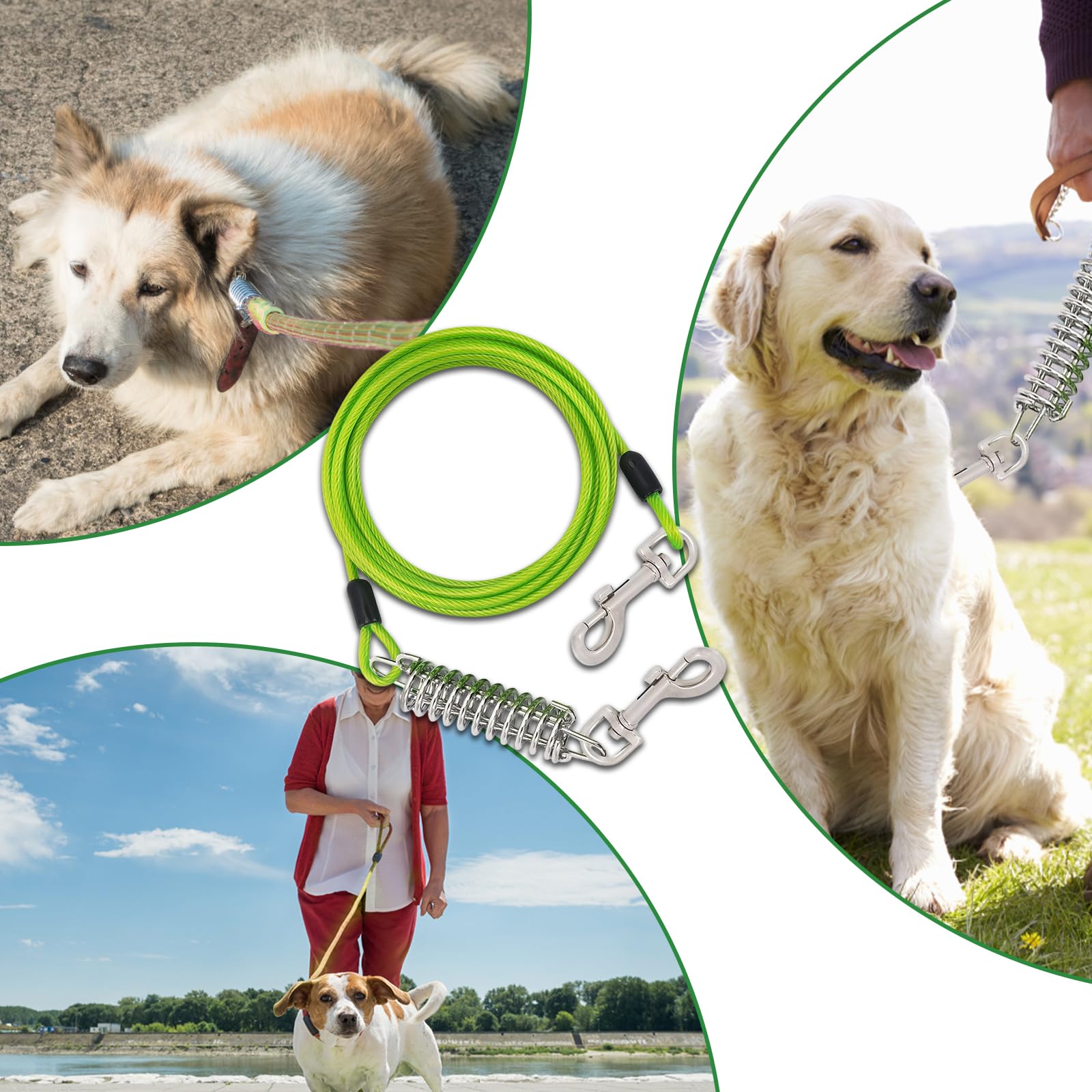 Amexo Hundeleine für Hunde, 3m Hofleine mit Stoßdämpfender, Bissfeste Hundeleine für Mittlere und Große Hunde, Tie Out Cables Leinen für Camping Park im Freien Laufen