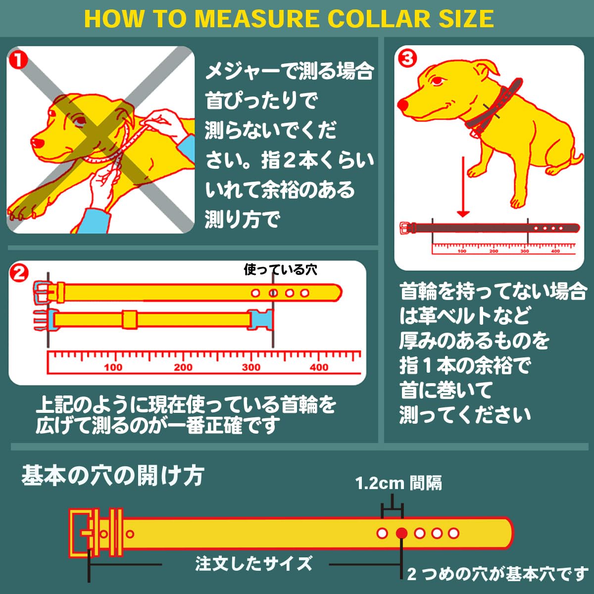 Amazon | 小型犬イタグレミニピン用3.5cm幅革首輪；Small Type G2-000A