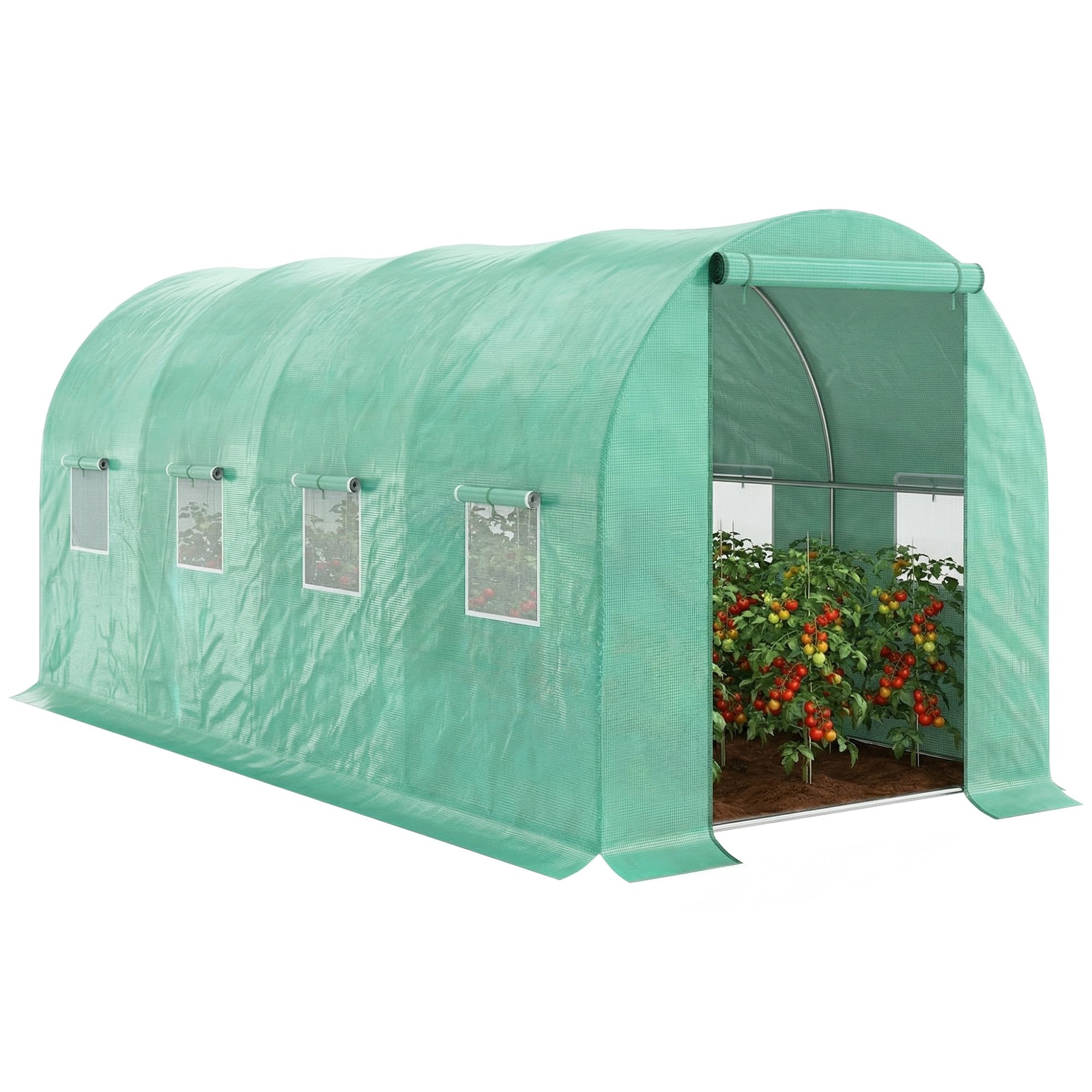 aglaonema plant types Aglaonema Wholesale