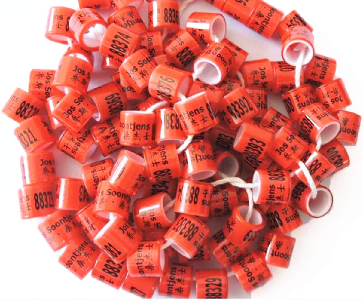 100PCS 8MM Customized Personal Colorful All Plastic Racing Pigeon Bird Dove Pigeon Leg Ring Bands Green