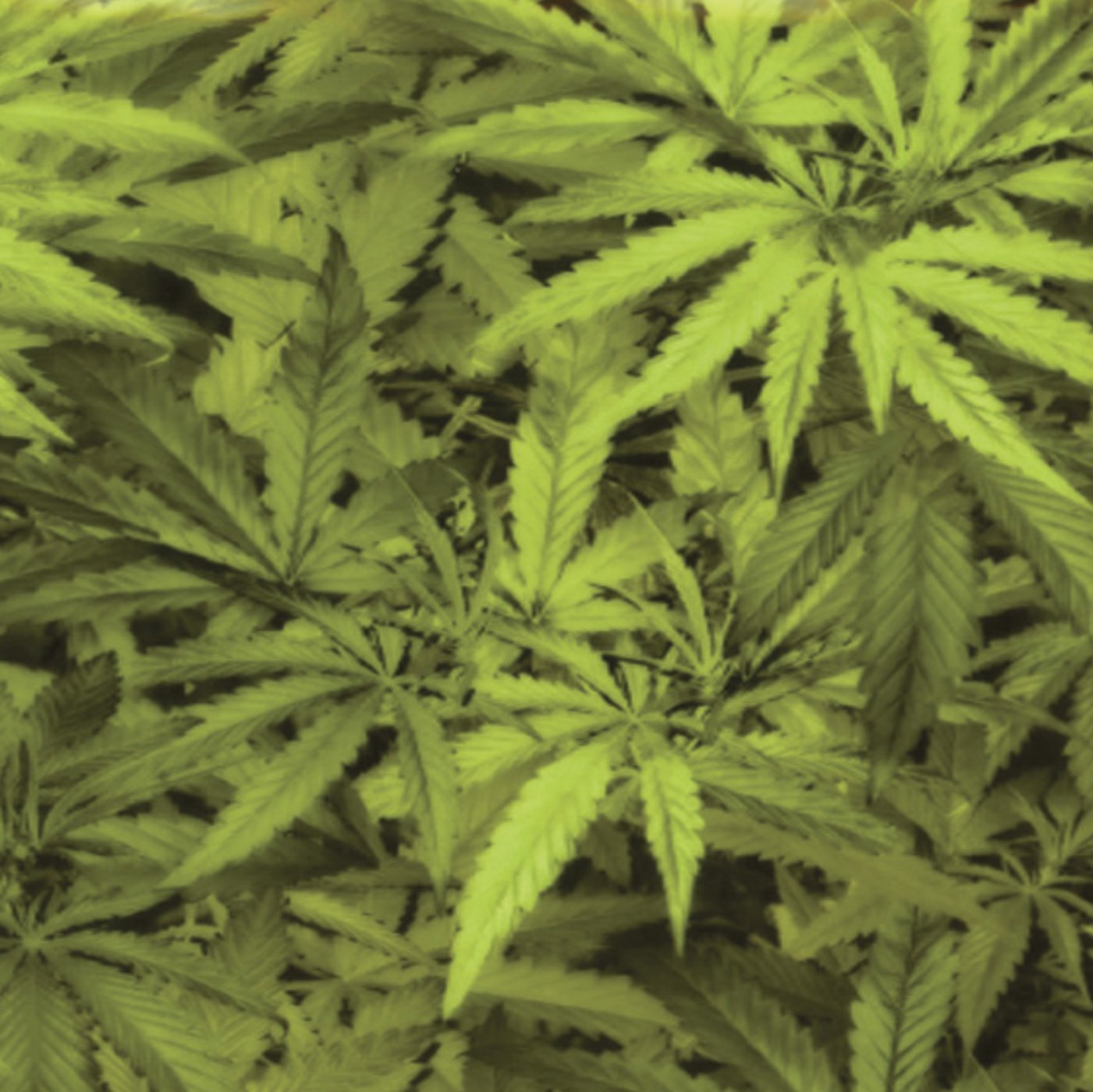 Krypto Camo Small Hydrographics Kit DipKitStore RC-432