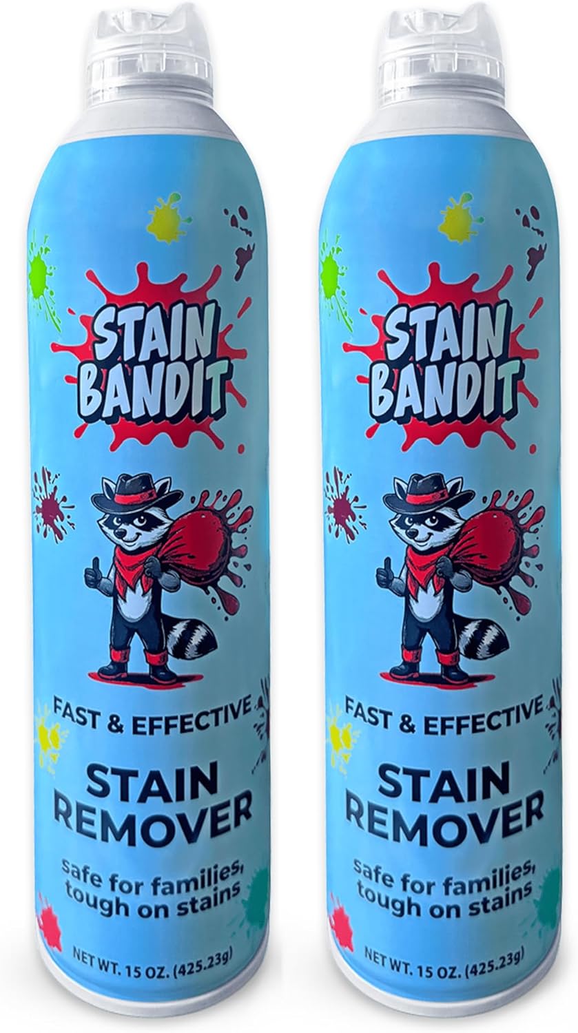 Stain Remover Spray | Non-Toxic Stain Remover Family Safe Formula | Bag-On-Valve 360° Continuous Spray Bottle | Cleaner for Clothes, Upholstery, Carpet & Car Seats 15 Oz, (Pack of 2)