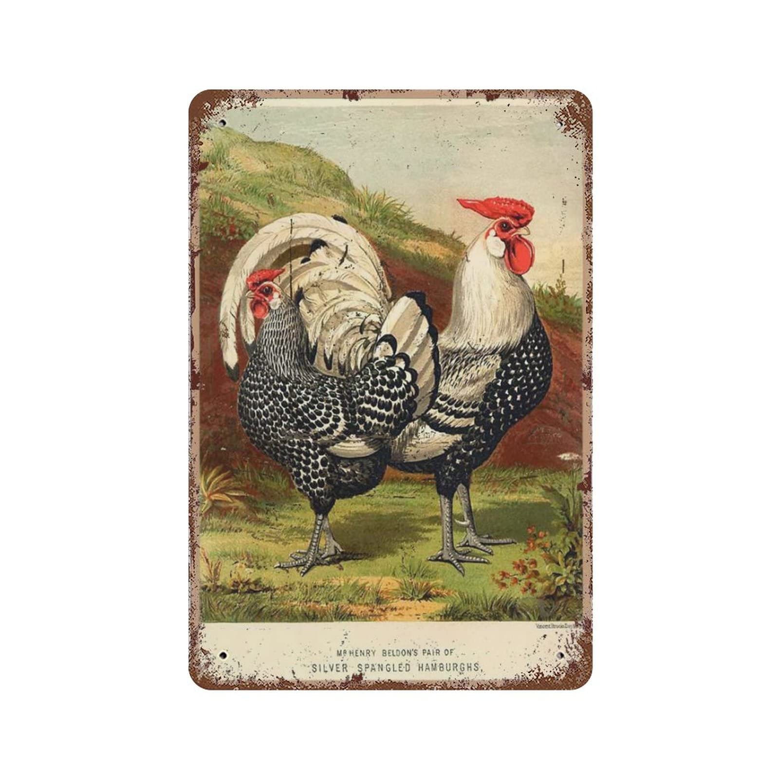 AOOEDM Chicken Decor Vintage Metal Sign for Home Shop Coffee Garage Man Cave Signs Wall Plaque Kitchen Bar Sign Wall Decor Poster