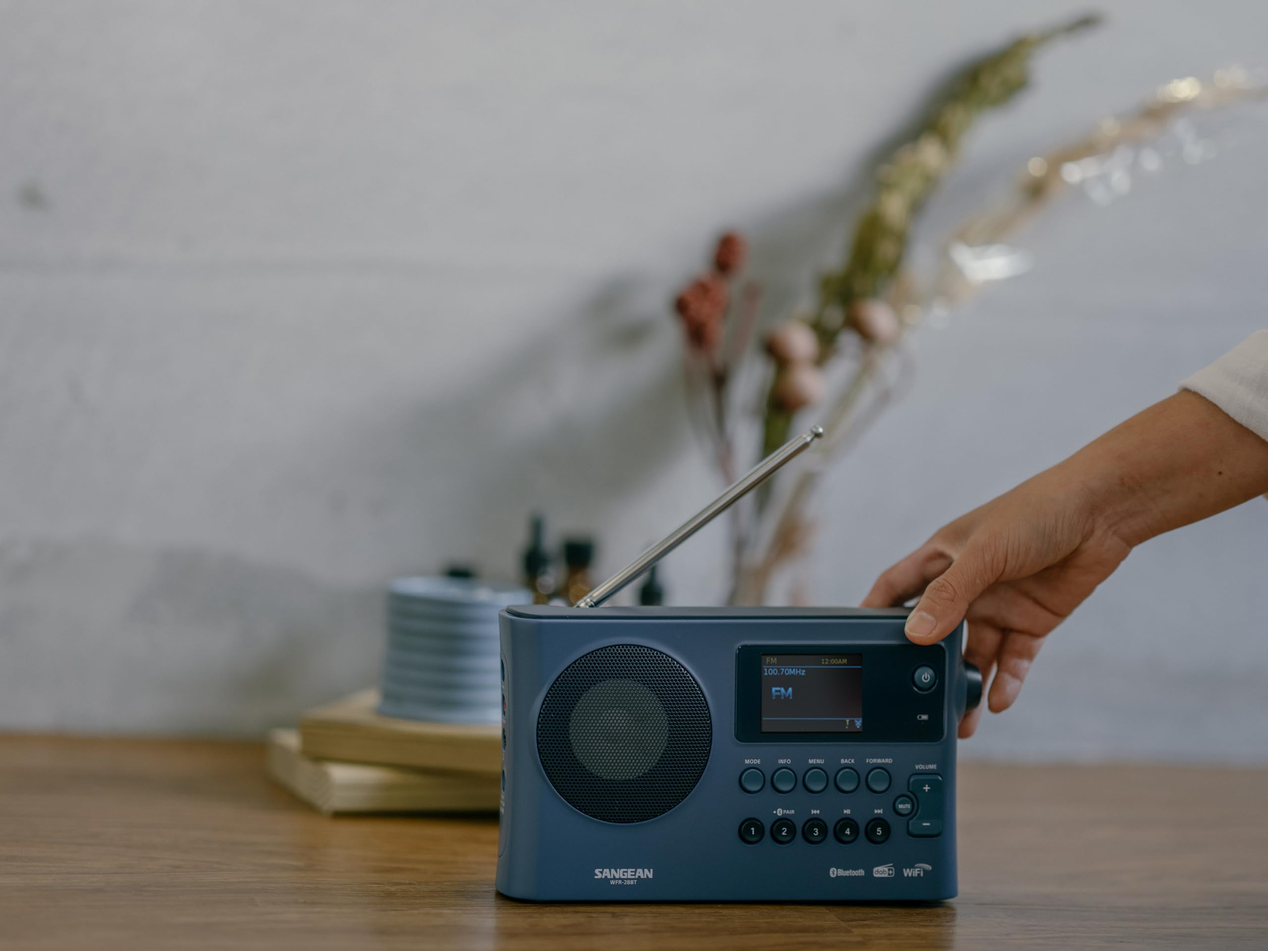 SANGEAN WFR-28 BT – Portables Internet-Radio mit WiFi, Musik-Streaming, DAB+/FM, Bluetooth, AUX - Einfache Bedienung via Control-App, Schwarz (Dunkelblau)
