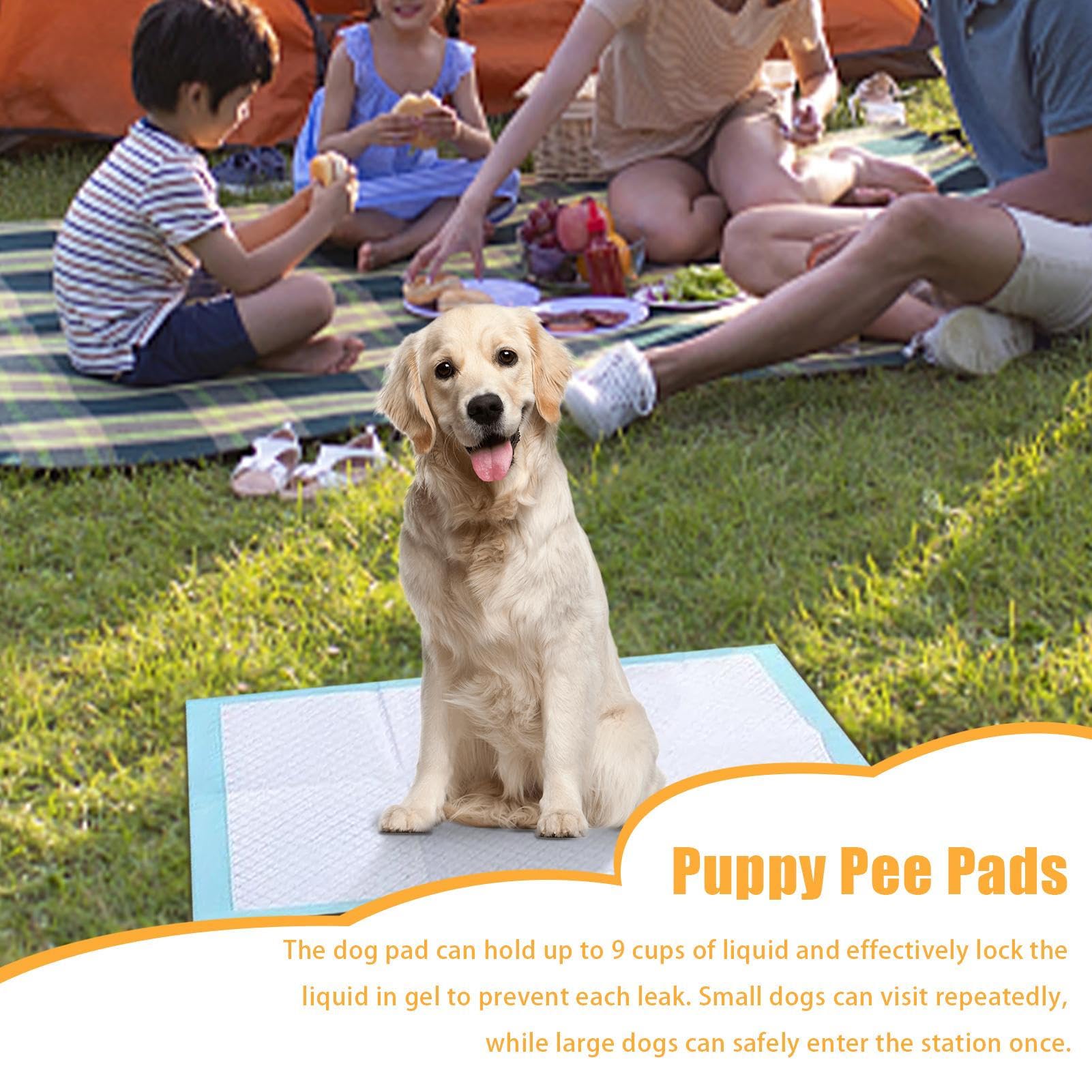 Windel für Hunde und Katzen, wasserdichte Haustier-Pads, super saugfähige Haustier-Pads, Welpenurin-Windelunterlage, Katzenstreu-Toiletten-Training, Hundeprodukte für Toilettentraining, saugfähige | -Pads, Welpenurin-Windelunterlage, Katzenstreu-Toiletten