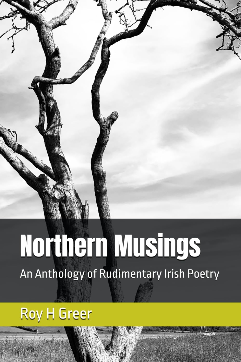 Northern Musings: An Anthology of Rudimentary Irish Poetry