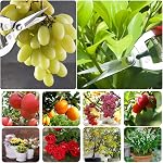 Pinceaux de taille avec l'inox SK5 Lames d'acier + embout serré de jardinage Pousses de jardin Clippers fleuriste Ciseaux taille-mains Outils de jardinier Ensemble d'outils de jardin, Rouge