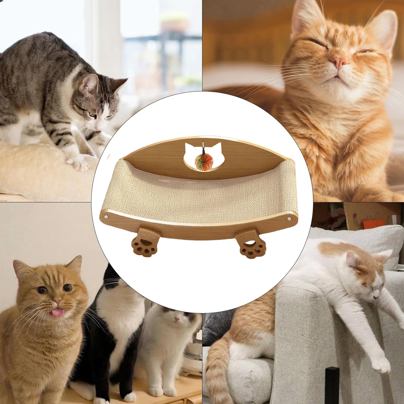 Tappetini Graffianti Per Gatti Proteggi Mobili Cuccia Cucciolo | Relax Felino e Tavoletta Graffiante Per E Cani Piccoli, , , Antinoia, Divano, Pavimento, Tappeto