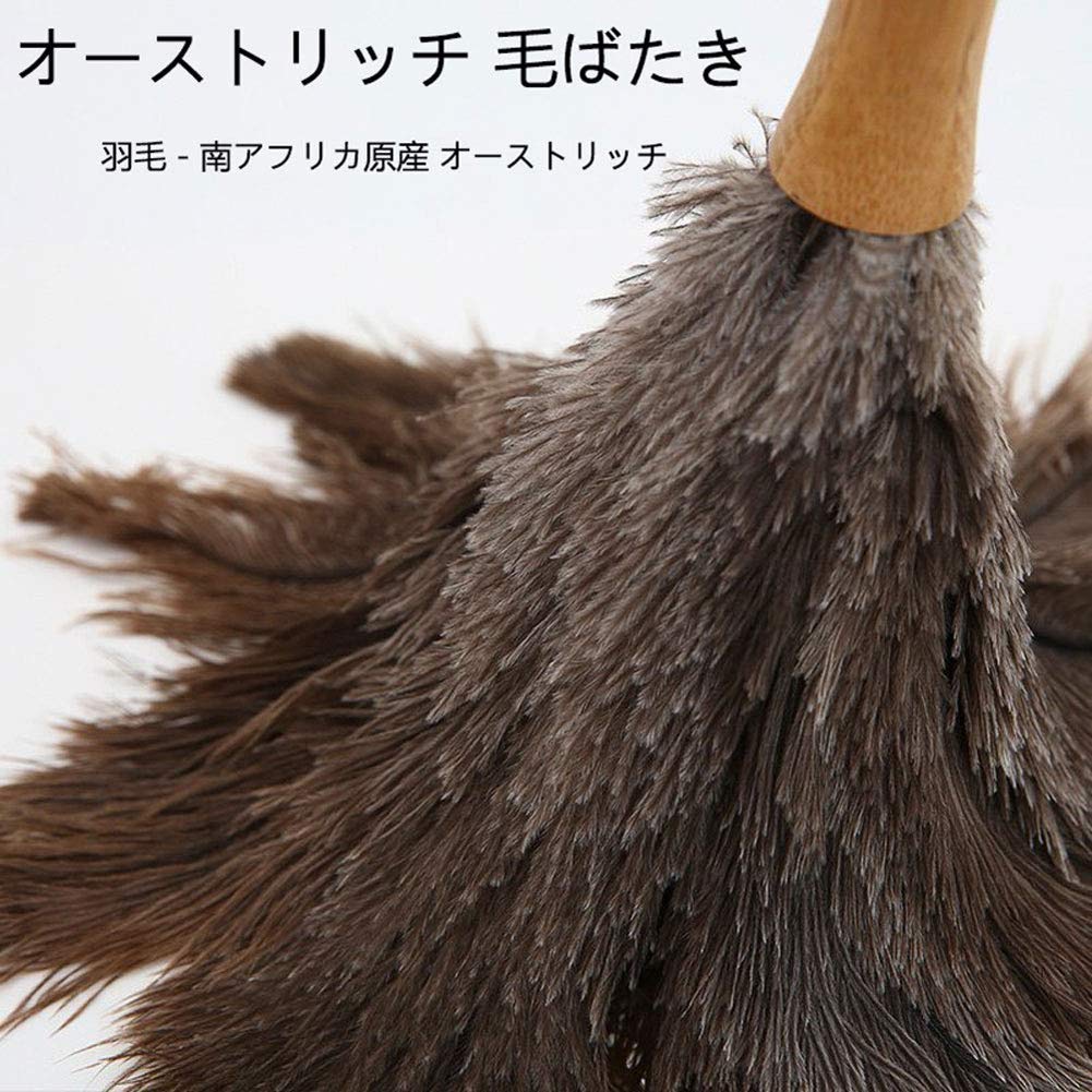 Amazon | miidoo 車用 毛ばたき オーストリッチ ダチョウの羽毛 高級