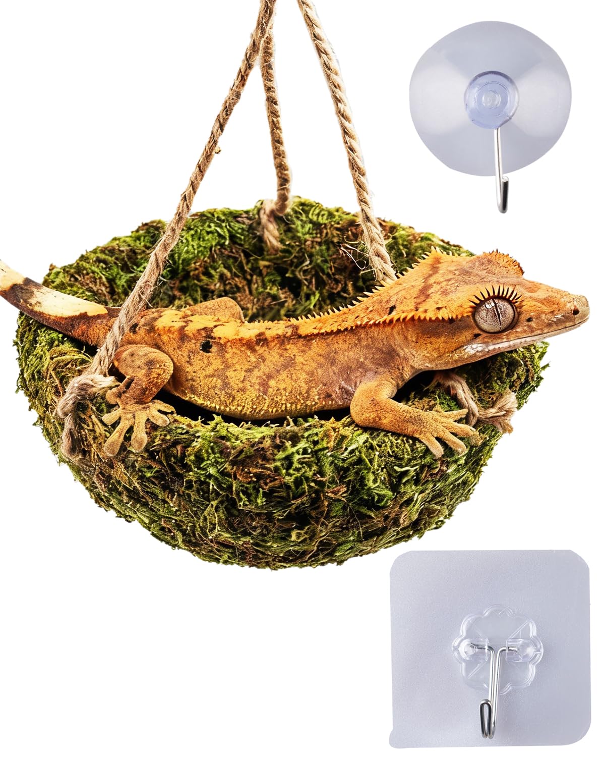 ORBIDYN Handmade Crested Gecko Tank Decor - habitat decor | Mubboo