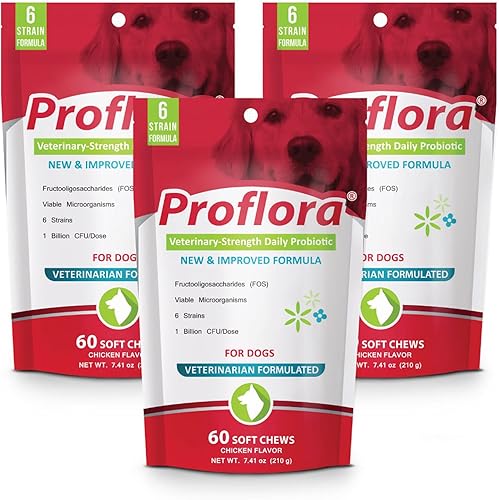 Proflora Masticables blandos probióticos para perros, probióticos diarios de fuerza veterinaria, salud de la digestión, mejora el sistema