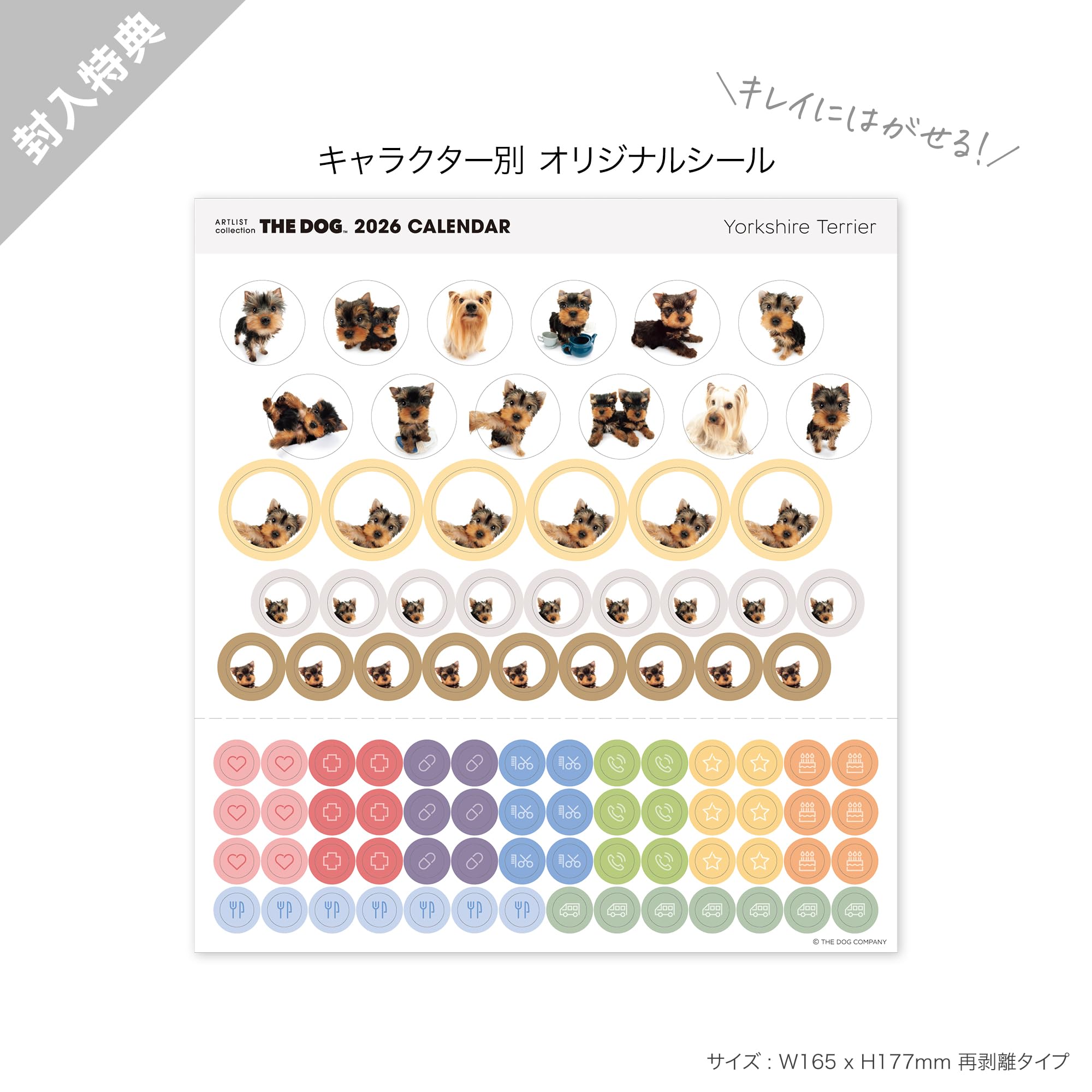 Amazon | THE DOG カレンダー 2026 壁掛け 大判サイズ [ヨークシャー