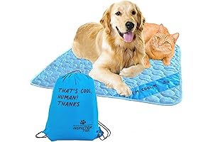 Premium Chilling Pad for Your Canine Companion