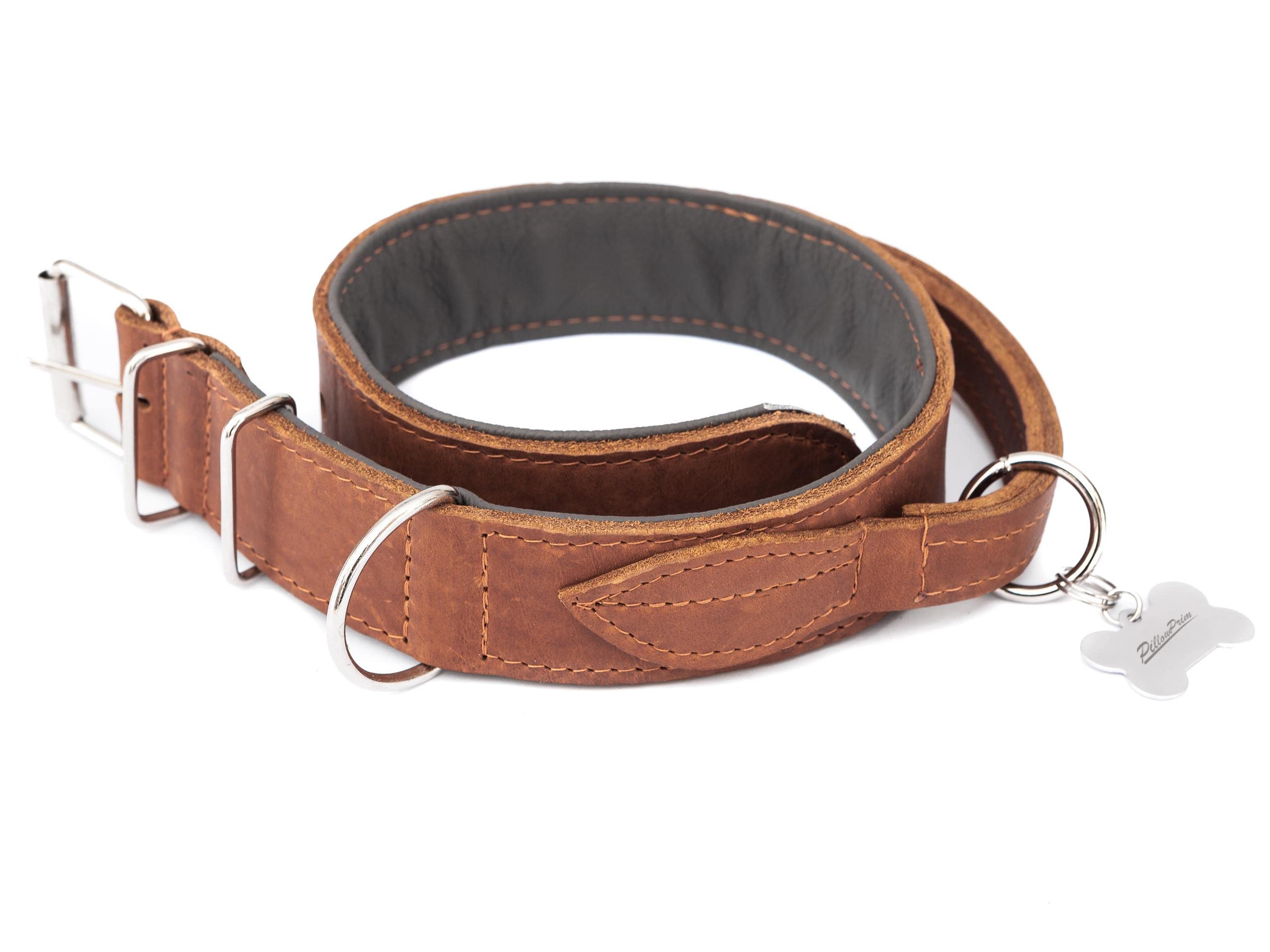 Collier pour chien en cuir avec boucle en métal Marron clair 60 cm