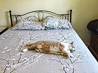 Review Image by Joanne Meshew Joanne Meshew