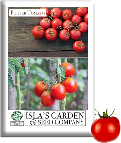 Semillas de tomate "Porter" para plantar, más de 50 semillas de reliquia por paquete, semillas de jardín de Isla (semillas de jardín de Isla),
