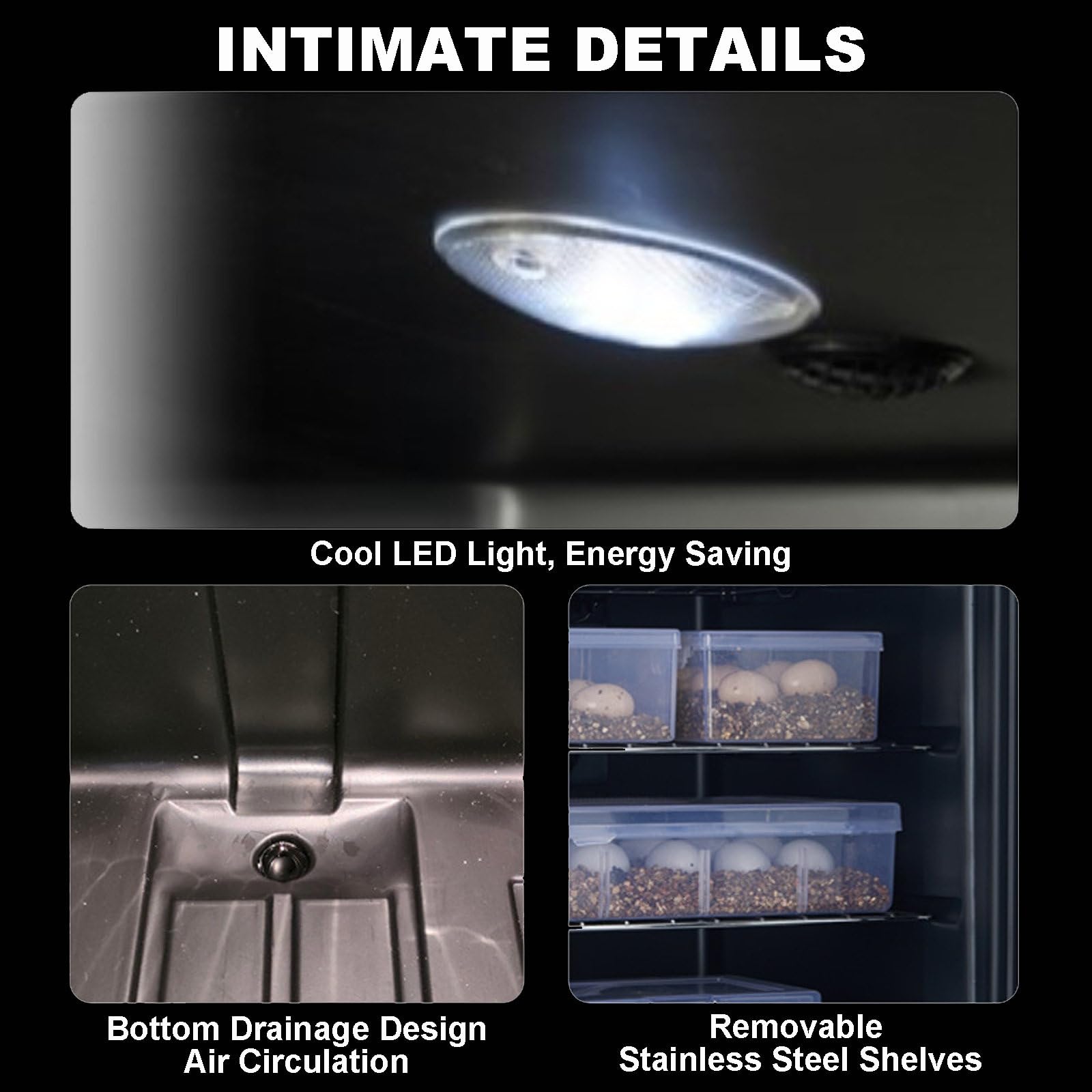Incubadora Automática De Reptiles Grande 23/33/49L | Refrigeración Y Calefacción 10-40℃ | Criadero Silencioso De Huevos De Reptiles Con Pantalla Digital Led Para Tortugas, Lagartos Y Serpientes,23L