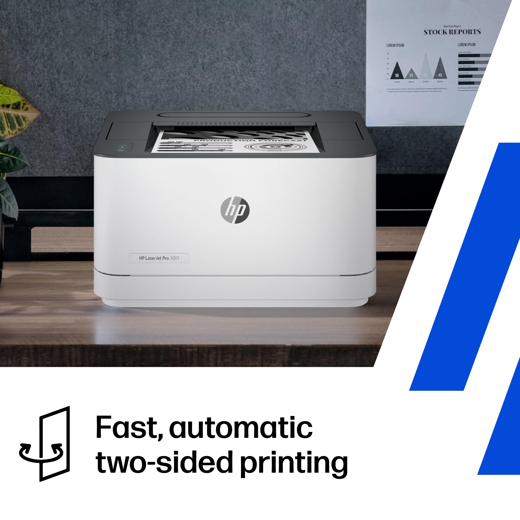HP LaserJet Pro 3001dw Wireless Black & White Printer, Best-for-Office (3G65OF)
