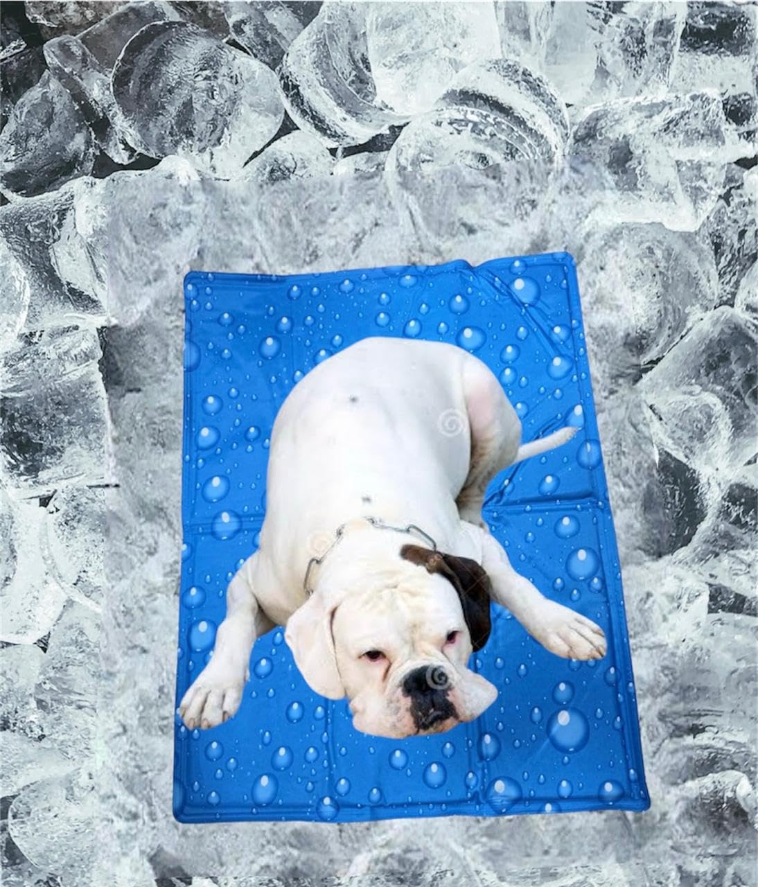 PetaHouse (New Size) Cooling Pad for Dog Large (50CM X 90CM)| Self Pressure Mat | Soft Bed for Pet with Activated Heat Rel... - Review, Price and Buying Guide