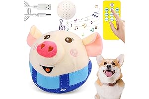 Remote Control Squeaky Interactive Jumping Activation Ball for Dogs