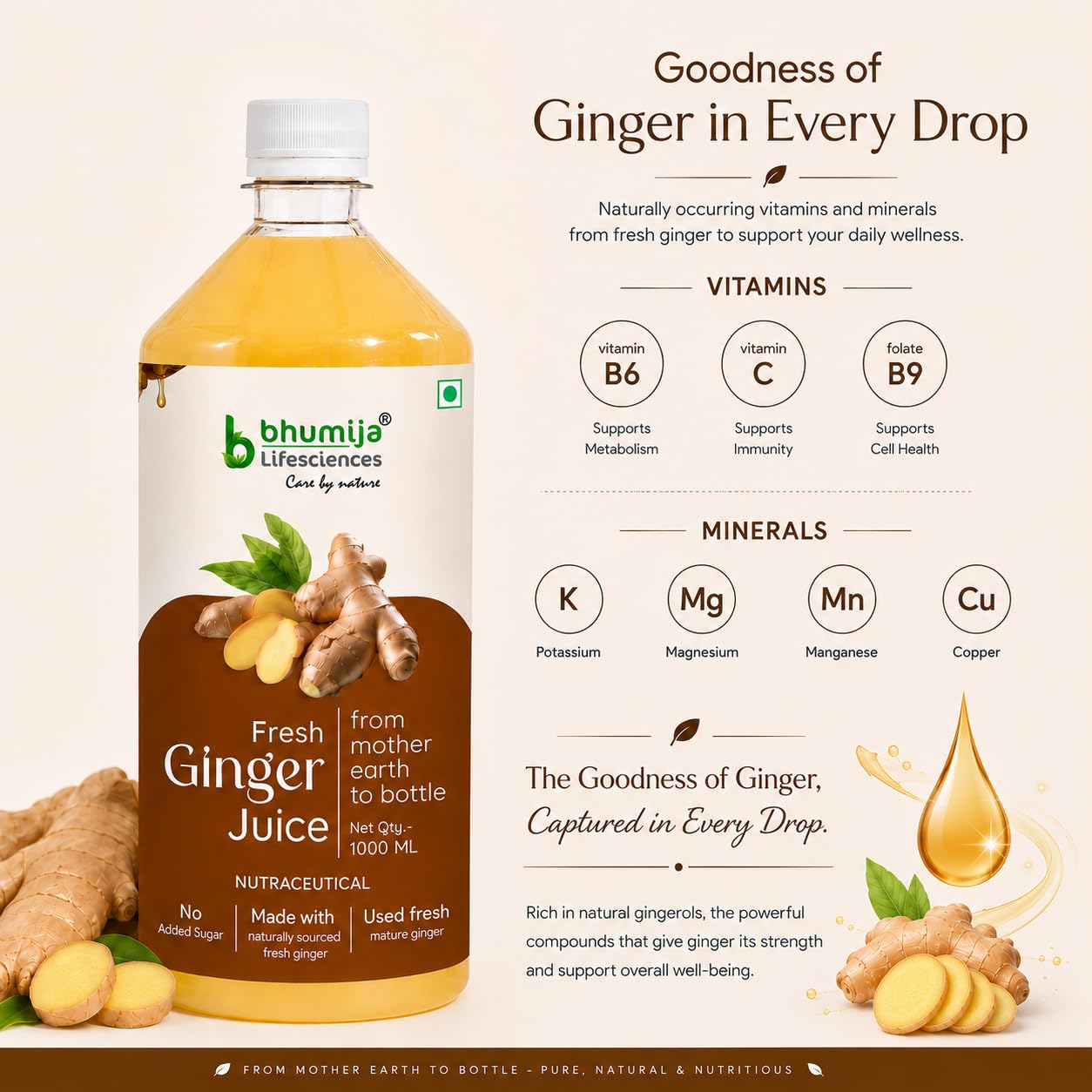 Bhumija Lifesciences Ginger Juice 1L | Sugar Free Adrak Ka Ras 2