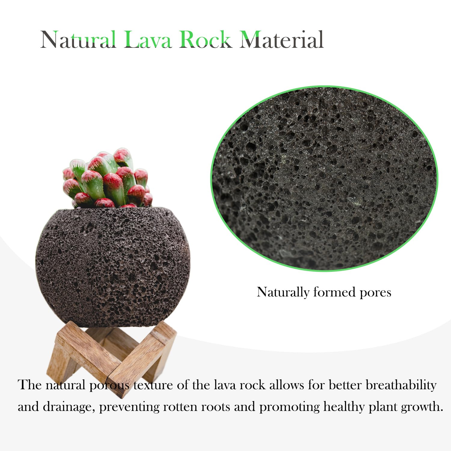 Amazon.co.jp: 天然溶岩石多肉植物ポット4個、水はけの良いミニ火山