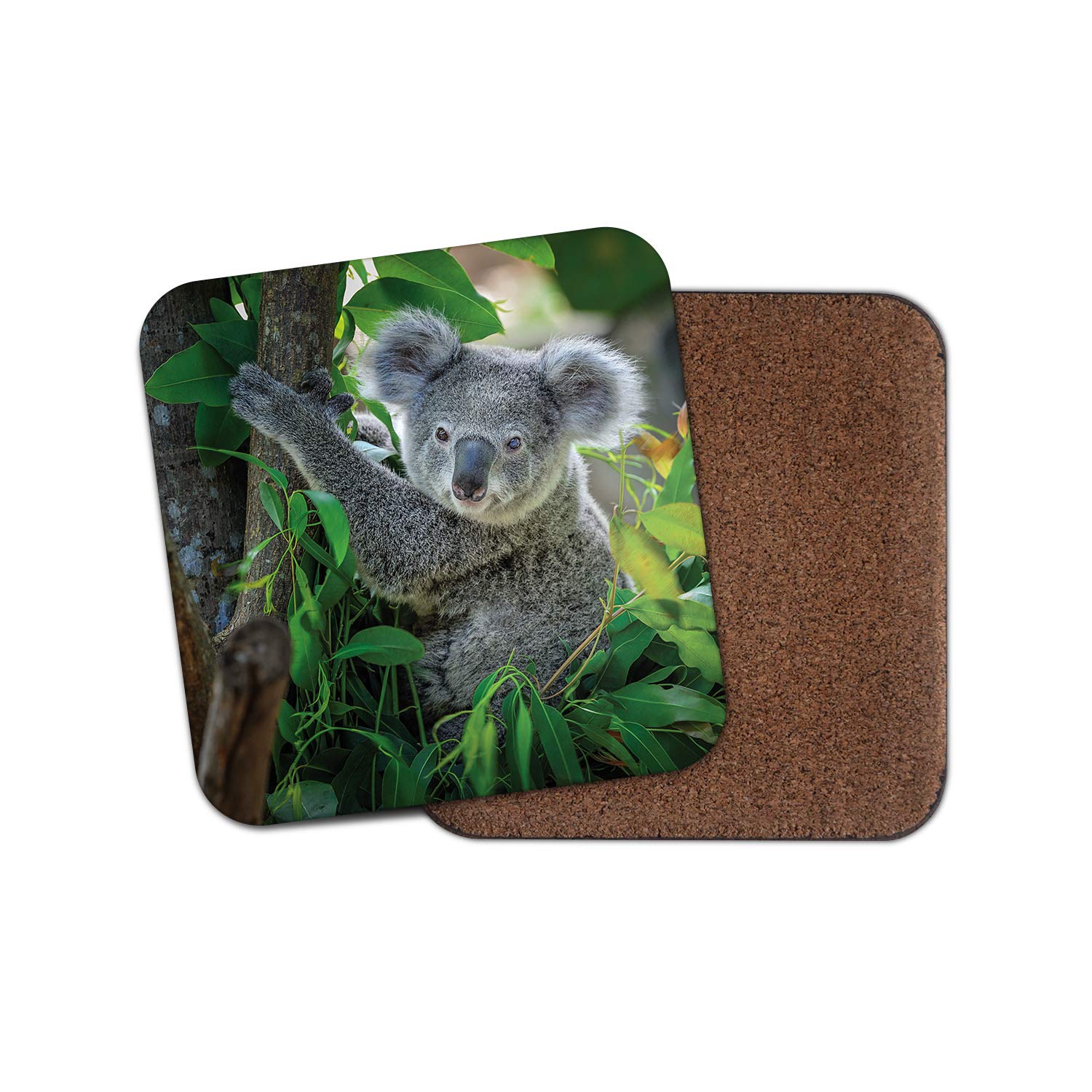 Destinationvinyl Multicolor 1 X Koala Bear Coaster - Australian Australia Wild Animal Cute Outback #15042