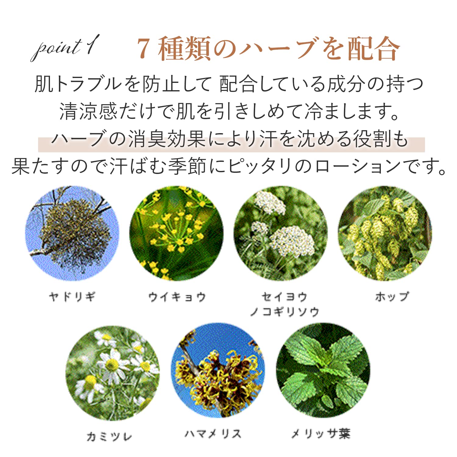 Amazon | くれえる アンメラン ハーブカーマン 化粧水 120ml 120009