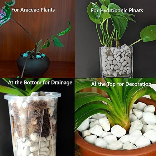 Miniatura 7 de Perlita gruesa dura natural de 0.4 a 0.8 pulgadas, 2 cuartos de galón para plantas hortícolas, perlita orgánica gruesa a granel, mezcla para macetas