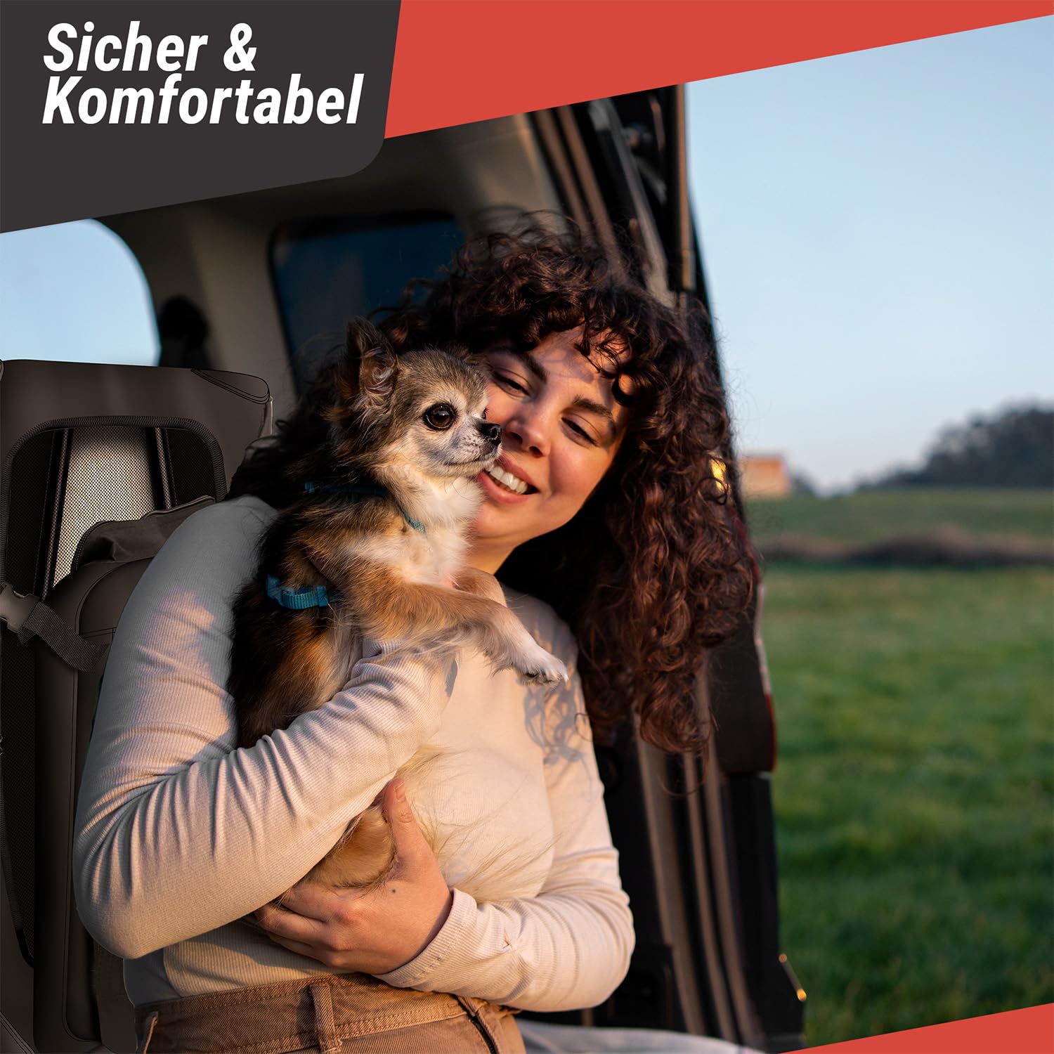 Hunde-Transportbox Tier Hundebox Transporttasche faltbar Hundetasche Haustier-Transport Atmungsaktiv & Wasserabweisend für Hunde & Katzen (M - 62x42x42 cm)