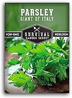 Vista 1 de Giant of Italy Semillas de perejil para plantar, hierba tradicional italiana de hoja plana con hojas grandes y sabrosas, sin OMG, ideal para cocinar