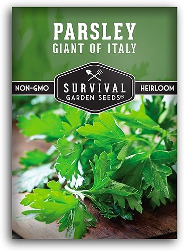 Giant of Italy Semillas de perejil para plantar, hierba tradicional italiana de hoja plana con hojas grandes y sabrosas, sin OMG, ideal para cocinar