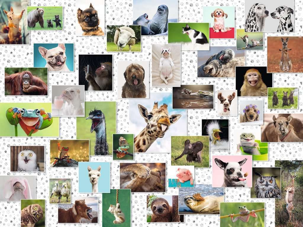 Ravensburger 16711 Funny Animals Collage 1500 Pieces - Image 2
