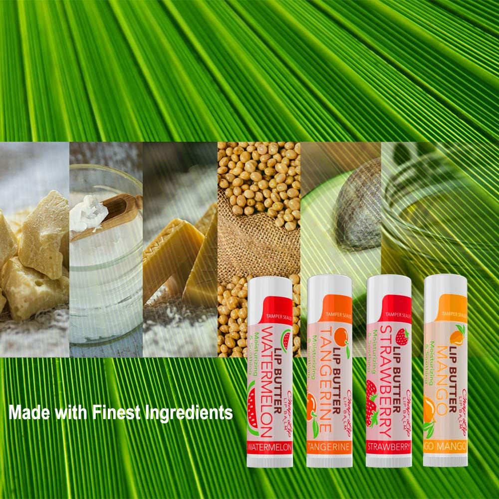 CHAP-LIP Lip Balm 60 Ct. with Fruit Flavors, Cocoa Butter, Coconut Oil | Moisturizing Vitamin E & Total Hydration Treatment & Soothing Lip Therapy : Beauty & Personal Care