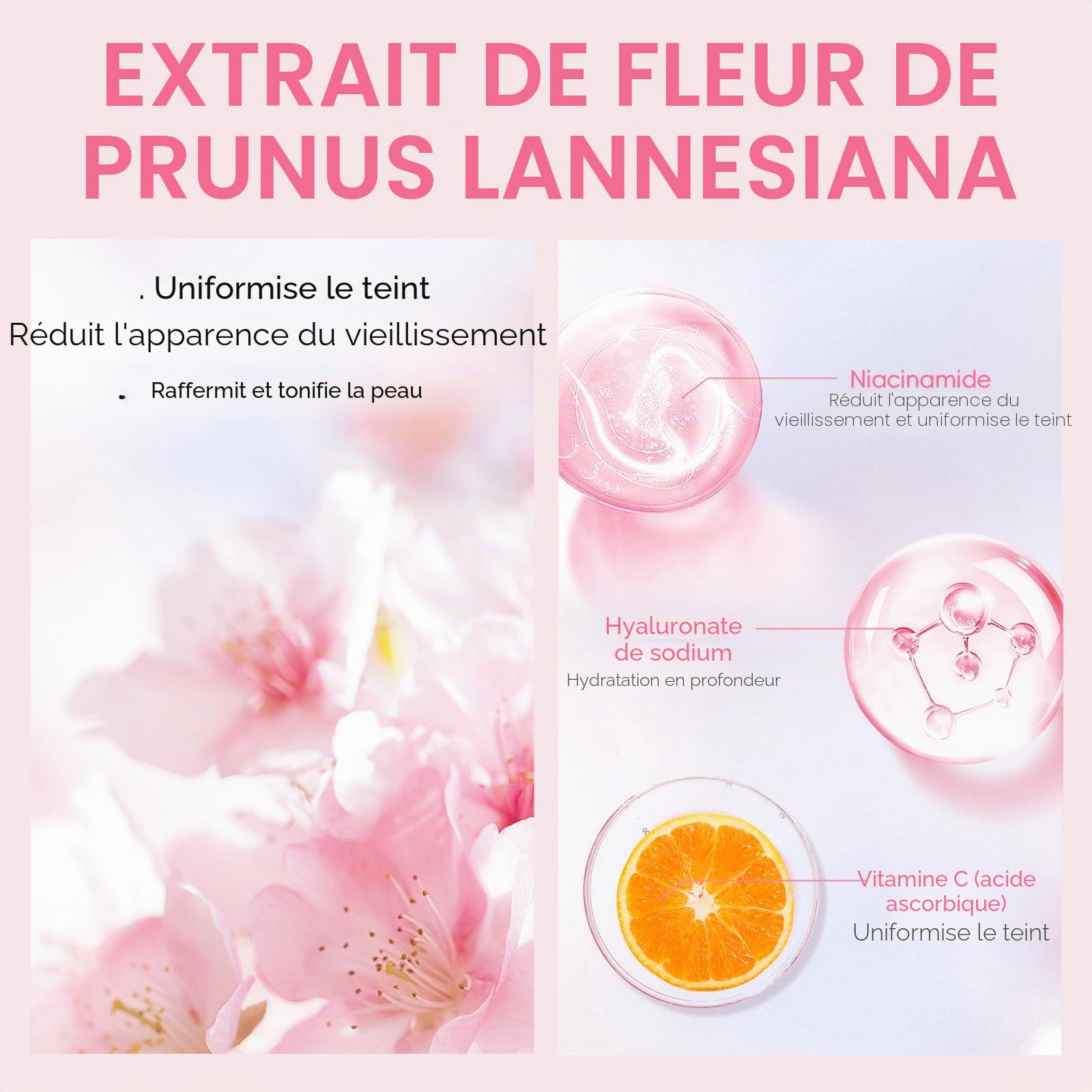 Sakura Kit de Soin du Visage Hydratant 13 pièces avec Nettoyage du Visage, Crème pour les Yeux, Sérum, Crème, Baume à Lèvres, Masque, pour les Soins de Jour et de Nuit