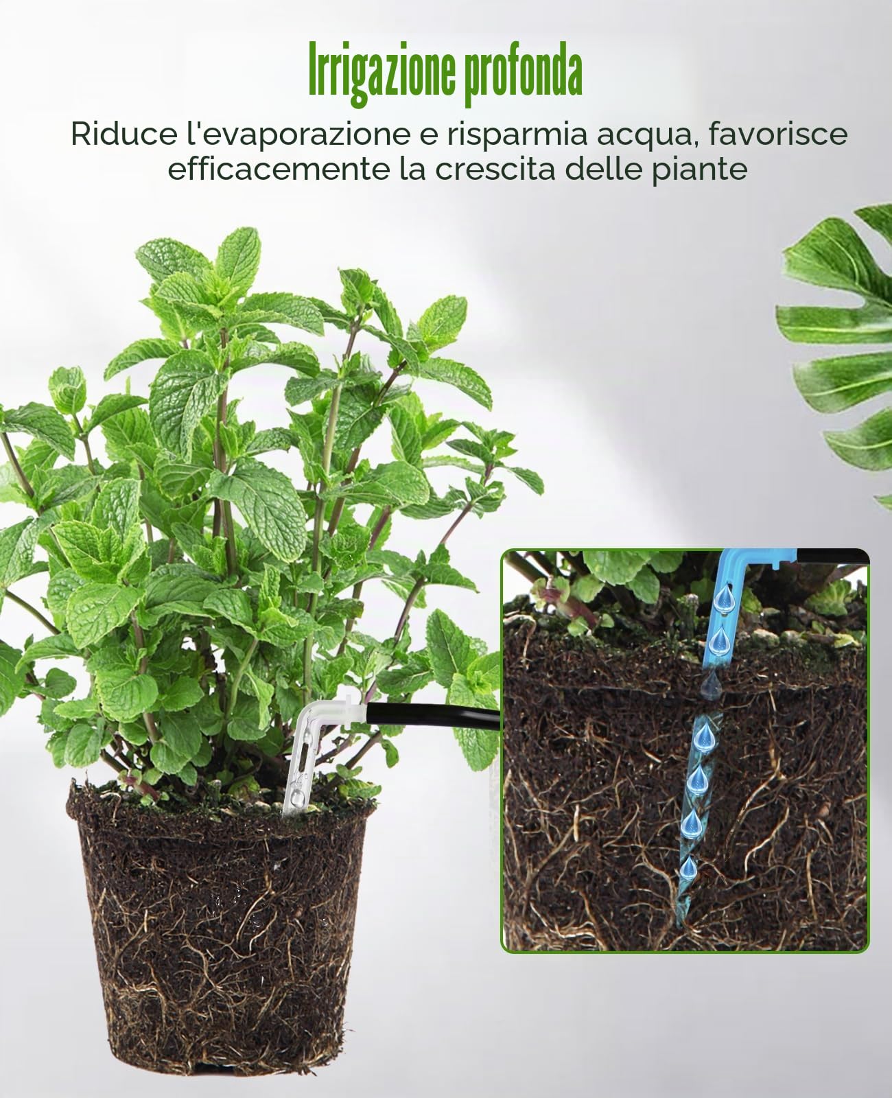Lvelfe Irrigazione automatica, sistema di irrigazione per interni – volume d'acqua regolabile, può innaffiare 11 piante, set di irrigazione a goccia per piante da interno, piante da balcone, piante in